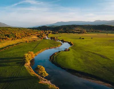 Cetina