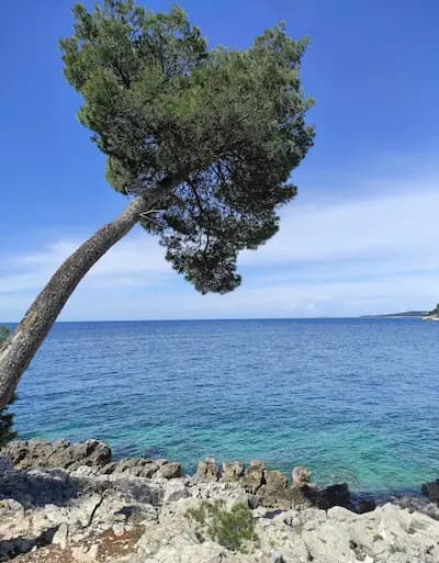 Istra