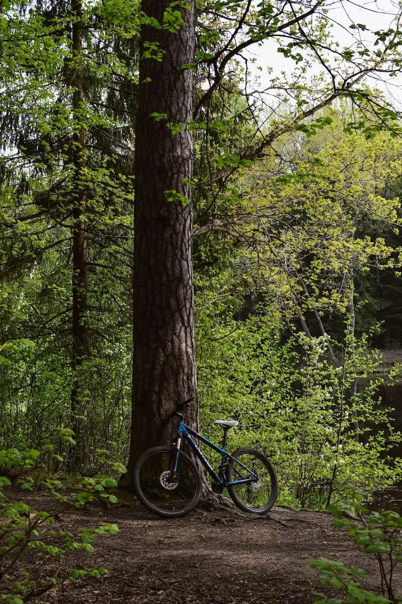 Cetina Canyon Bike Adventures